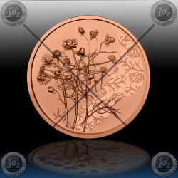10 EVRO AVSTRIJA 2023 (KAMILICE) UNC